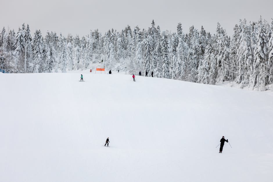 Trouver la station de ski idéale selon vos envies