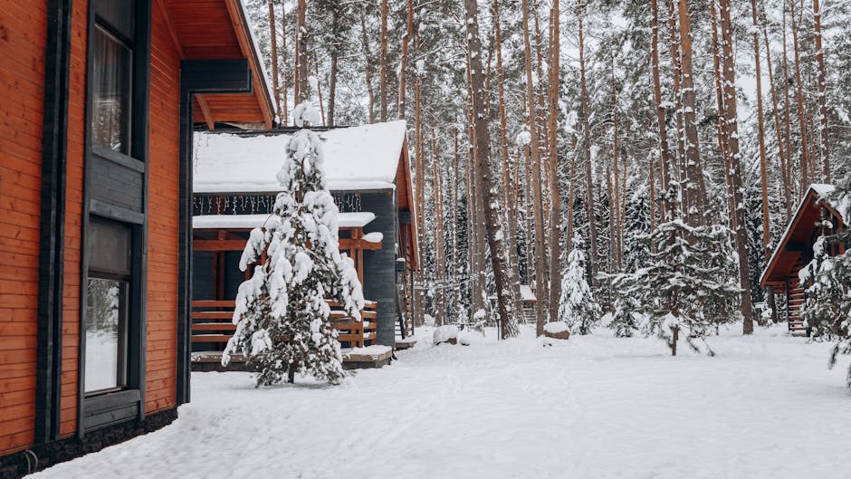 Choisir son logement idéal pour des vacances au ski