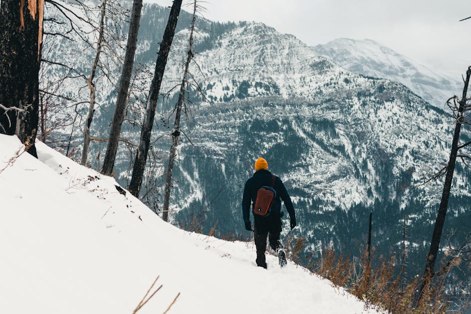 Activités gratuites dans les stations de ski : Top choix