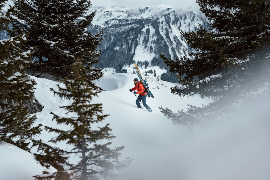 Activités gratuites dans les stations de ski