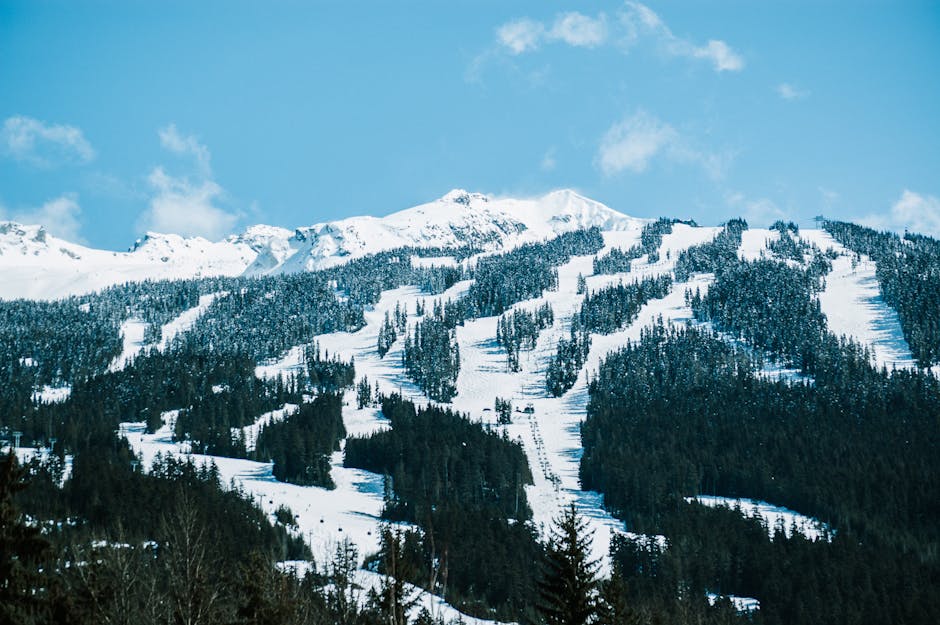 Rocheuses canadiennes stations de ski